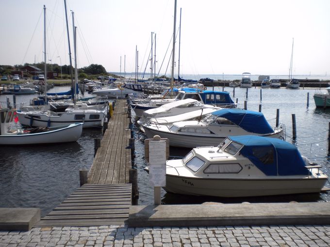 Masnedsund Havn, der iøvrigt ligger lige op ad et rekreativt naturområde.